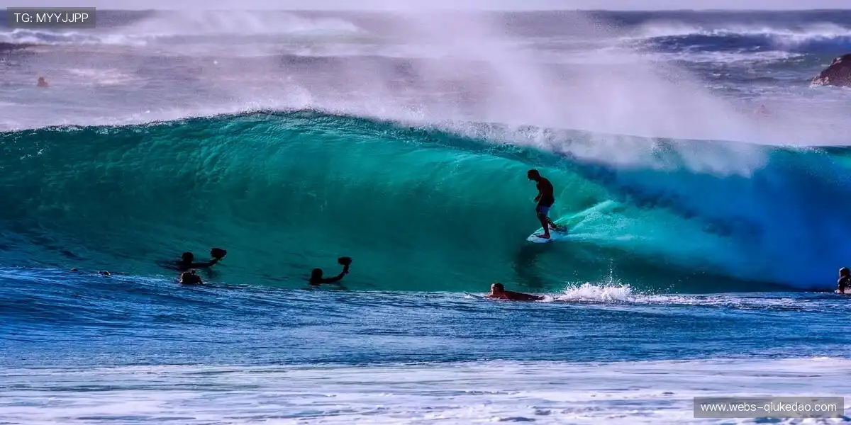 ⚔️🏅 强者较量,荣耀加冕!